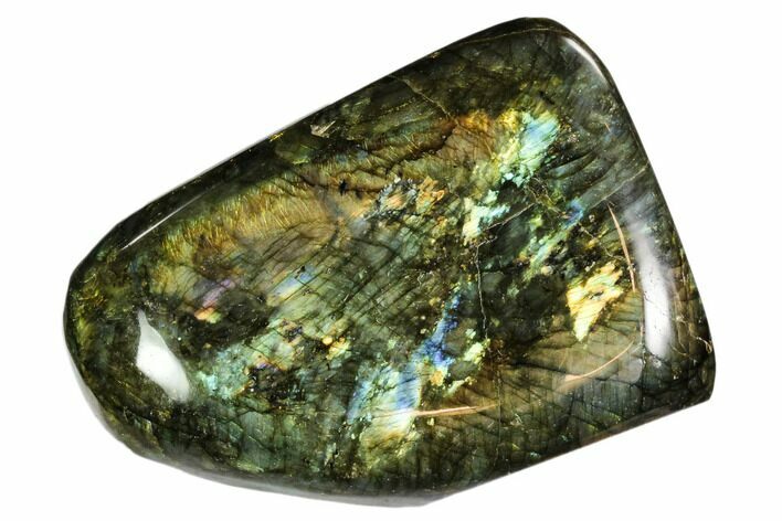 Flashy Polished Labradorite Free Form - Madagascar #106902
